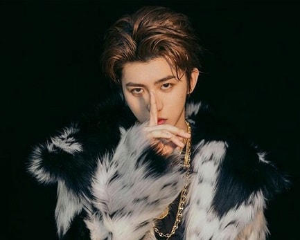 Cai Xunkun