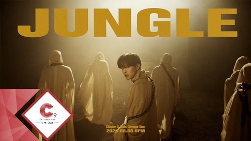 Jungle