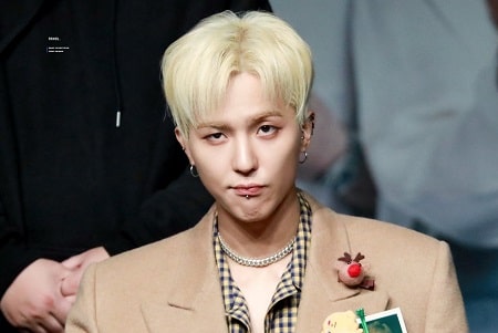 Mino