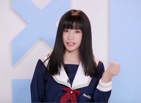 Duan Xiaowei (段小薇)
