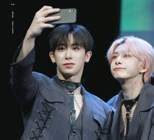 Hyungwon & Wonho