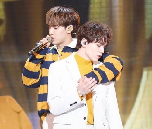 Mingyu & Vernon