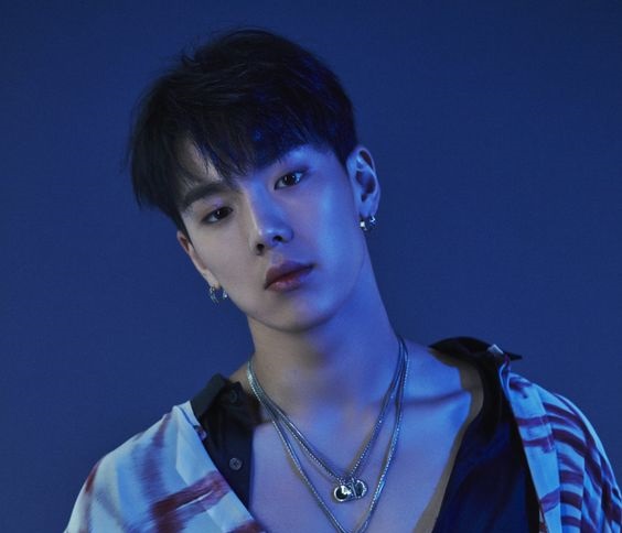 Shownu
