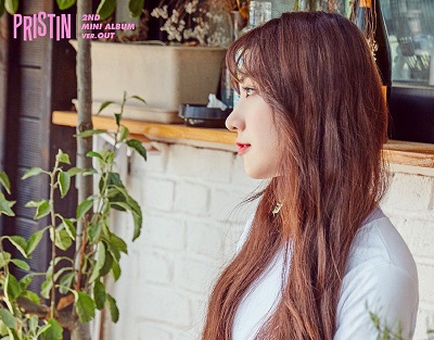 Roa