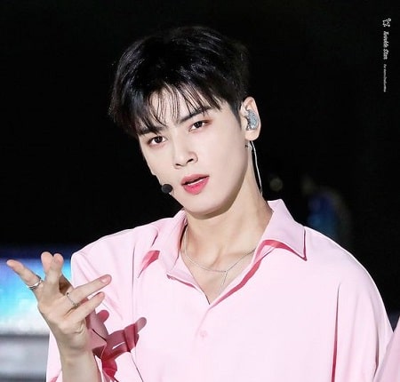 Cha Eunwoo