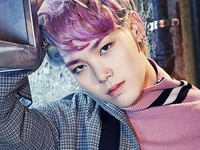 Zelo
