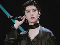 Fan Chengcheng