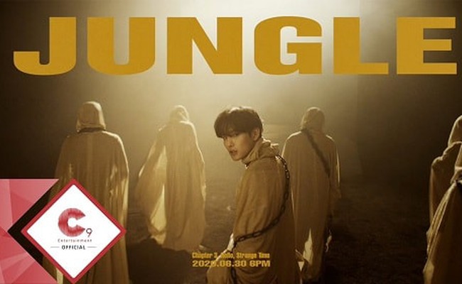 Jungle