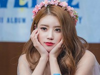 Mijoo