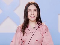 Wang Wanchen (王婉辰)
