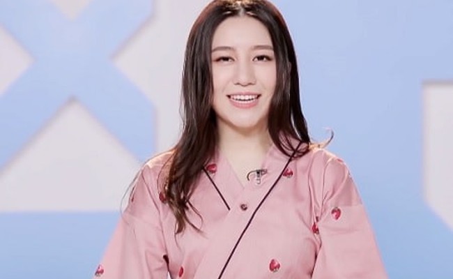 Wang Wanchen (王婉辰)