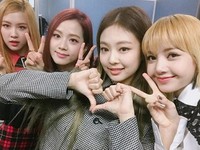 They are funny & cute