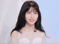 Zhang Luofei (张洛菲)
