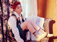 Hanse