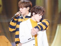 Mingyu & Vernon