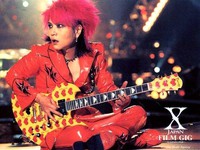 Hide