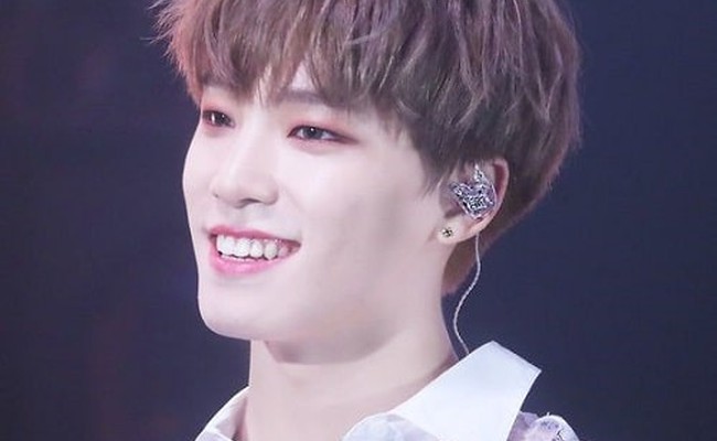 Dino