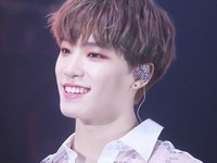 Dino