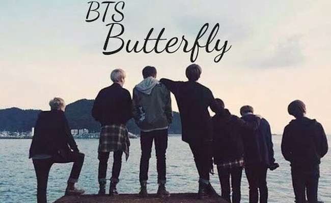 Butterfly