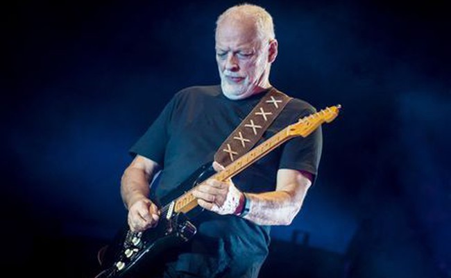 David Gilmour