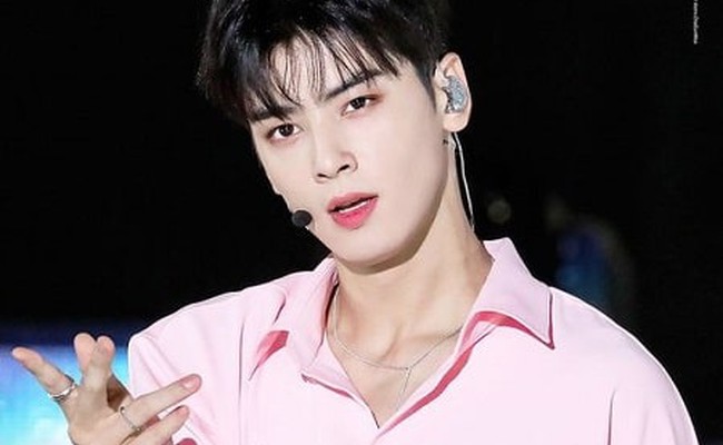 Cha Eunwoo