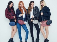 Their fashion is best
