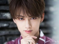 Wen Junhui