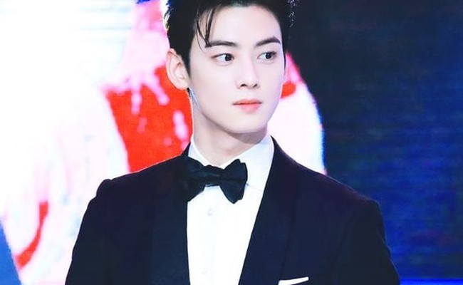 Cha Eunwoo