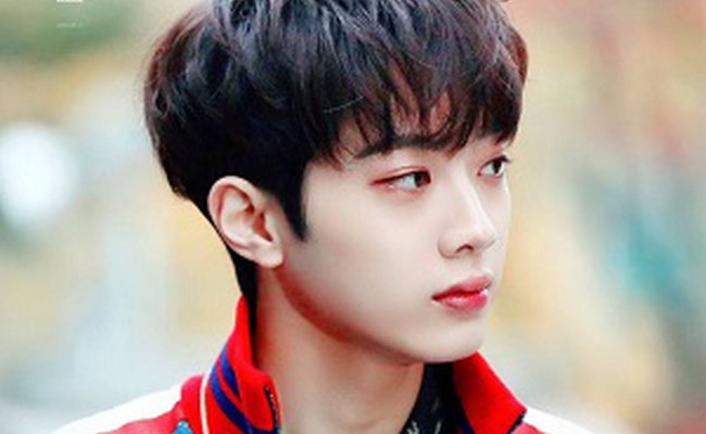 Lai Guan Lin