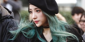 hani