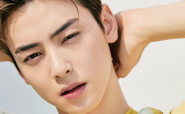 Cha Eunwoo