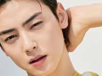 Cha Eunwoo
