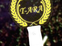 T-Ara
