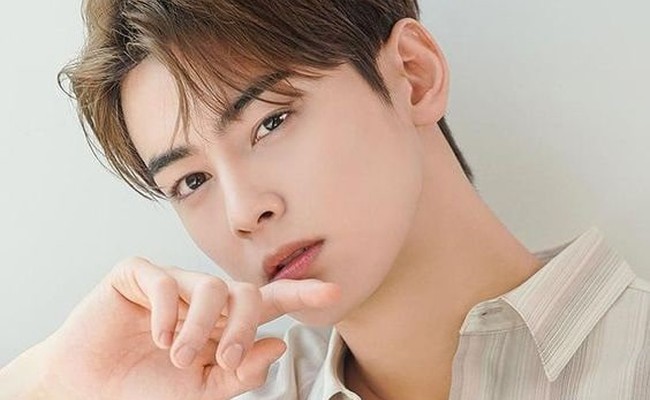 Cha Eunwoo