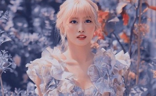 Momo