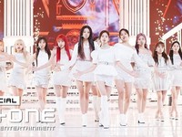 Secret Story of the Swan