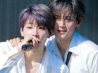 Mingyu & Wonwoo