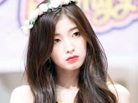 Arin