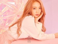 Mei Qi