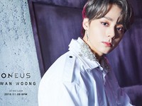 Hwanwoong