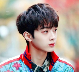 Lai Guan Lin