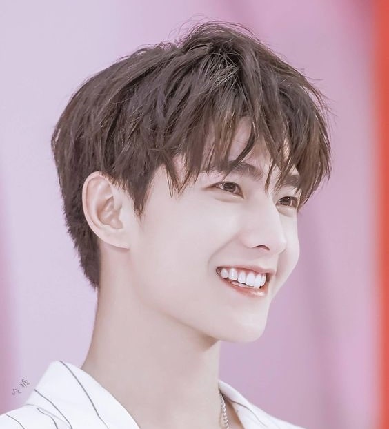 Yang Yang