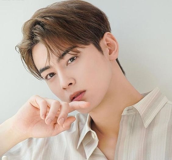 Cha Eunwoo