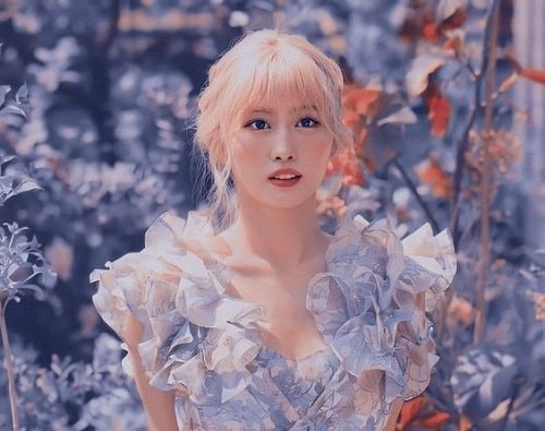 Momo