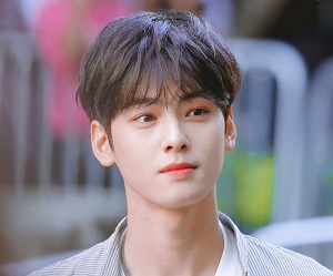 Cha Eunwoo